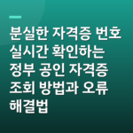 분실한 자격증 번호 실시간 확인하는 정부 공인 자격증 조회 방법과 오류 해결법