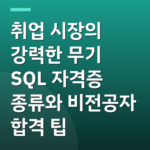 취업 시장의 강력한 무기 SQL 자격증 종류와 비전공자 합격 팁