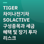 TIGER 차이나전기차 SOLACTIVE 구성종목과 세금 혜택 및 장기 투자 리스크