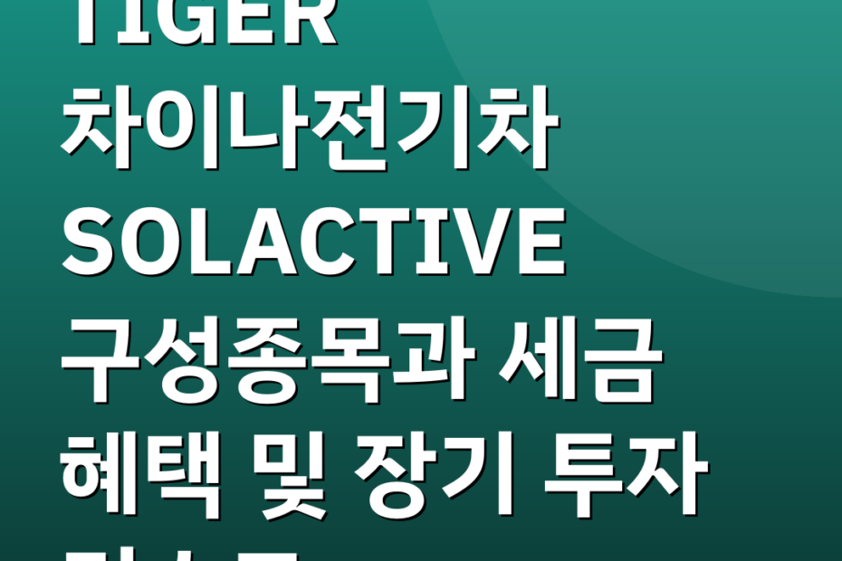 TIGER 차이나전기차 SOLACTIVE 구성종목과 세금 혜택 및 장기 투자 리스크