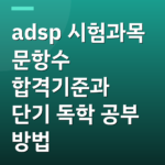 adsp 시험과목 문항수 합격기준과 단기 독학 공부 방법