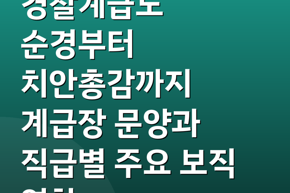 경찰계급도 순경부터 치안총감까지 계급장 문양과 직급별 주요 보직 역할