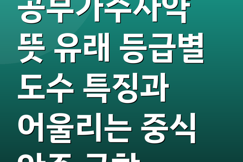 공부가주자약 뜻 유래 등급별 도수 특징과 어울리는 중식 안주 궁합